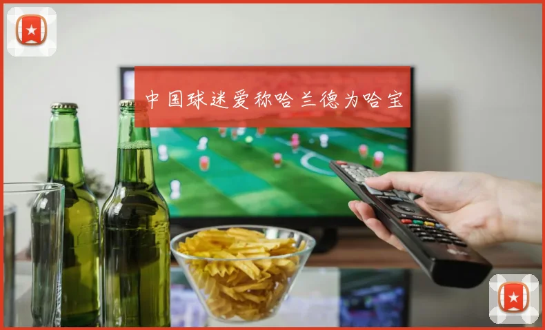 中国球迷爱称哈兰德为哈宝